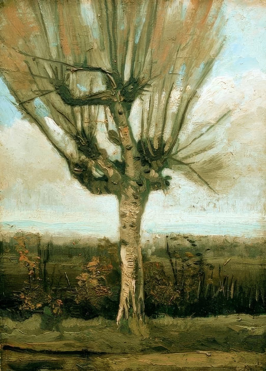 Salice da Vincent van Gogh