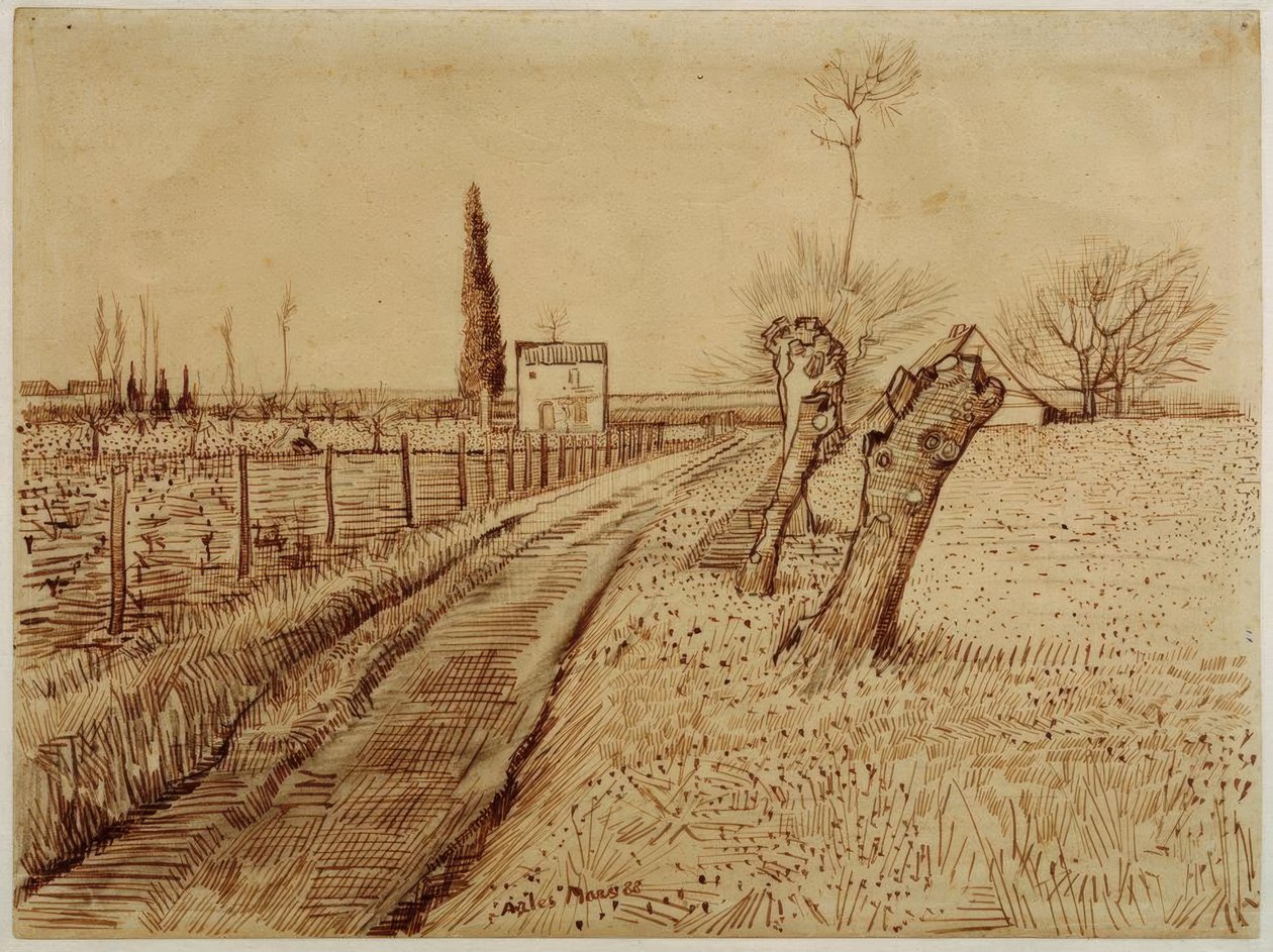 Paesaggio con strada e salici da Vincent van Gogh