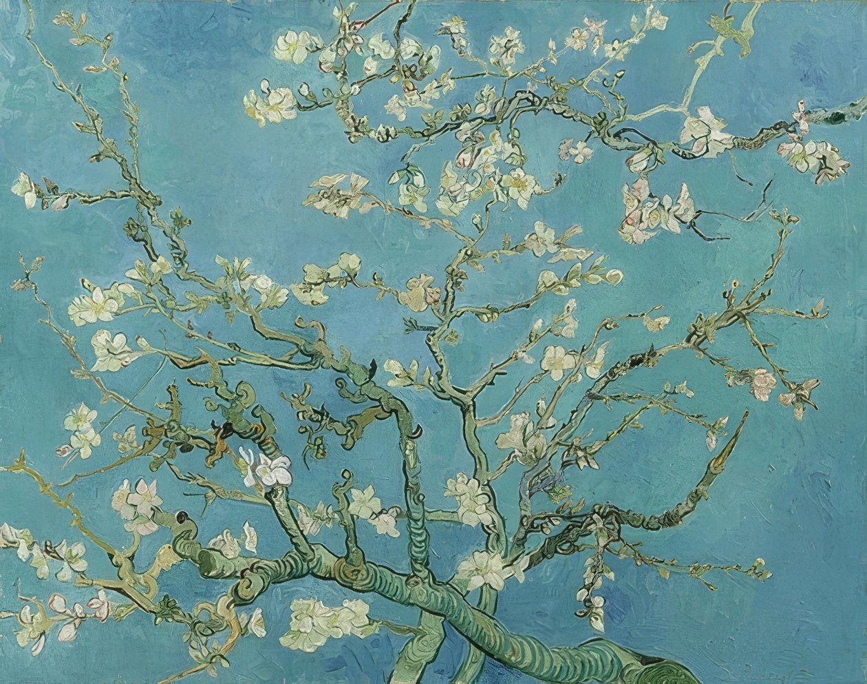 Fioritura di mandorli da Vincent van Gogh