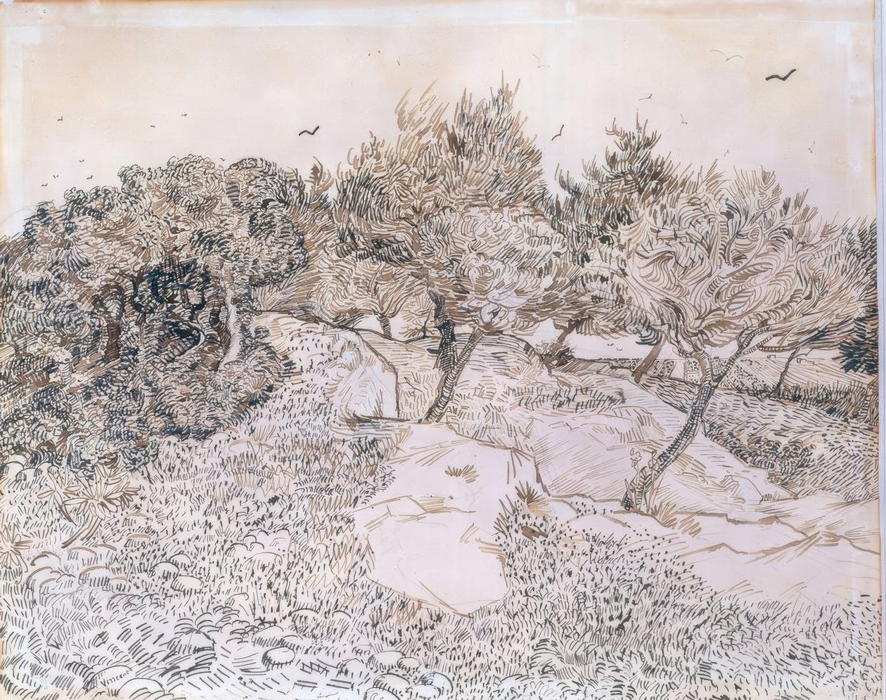 Ulivi a Montmajour da Vincent van Gogh