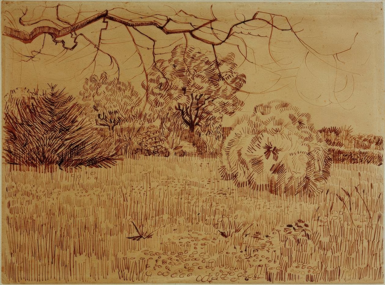 Parco con cespuglio da Vincent van Gogh