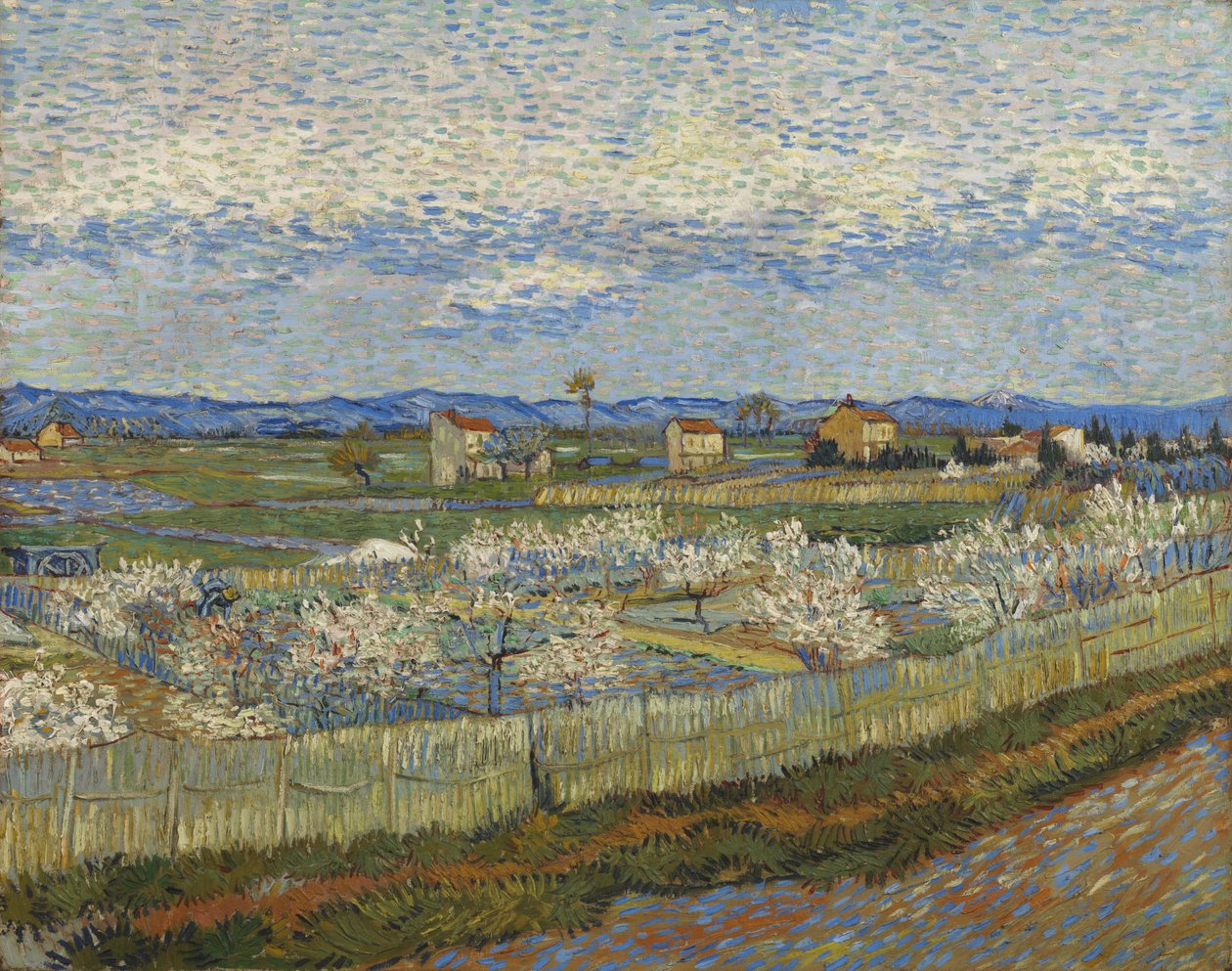 Alberi di pesco in fiore, 1889 da Vincent van Gogh