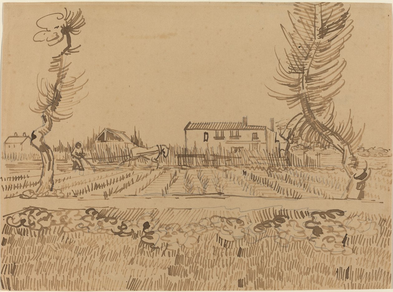 Contadino nei Campi vicino ad Arles da Vincent van Gogh