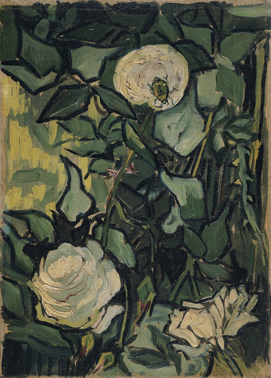 Rose da Vincent van Gogh