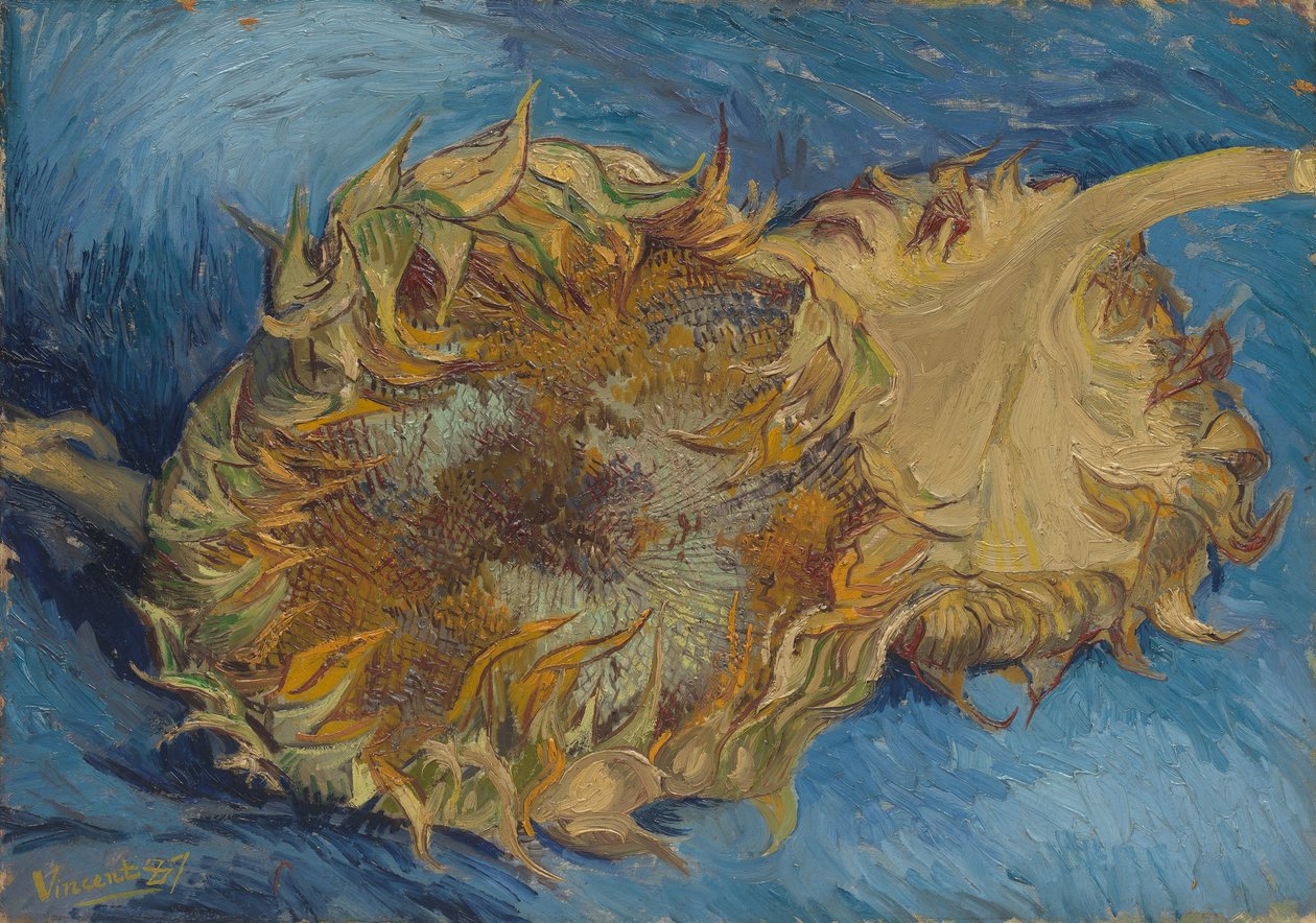 Girasoli, 1887 da Vincent van Gogh