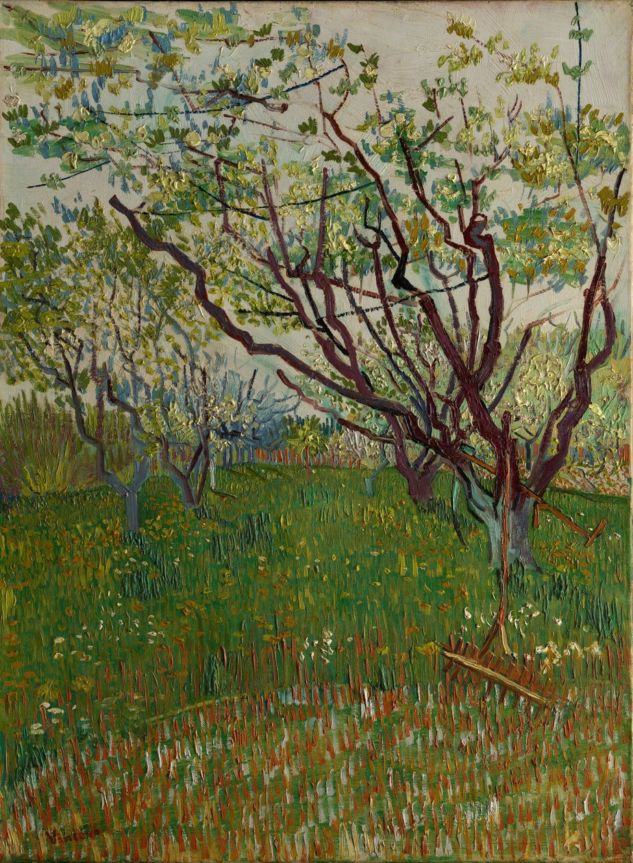 Il frutteto in fiore da Vincent van Gogh