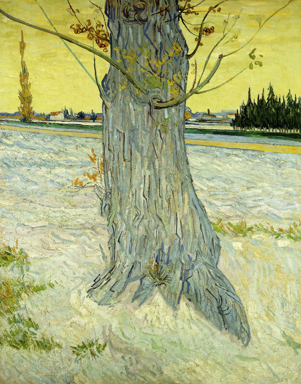 Il vecchio albero da Vincent van Gogh