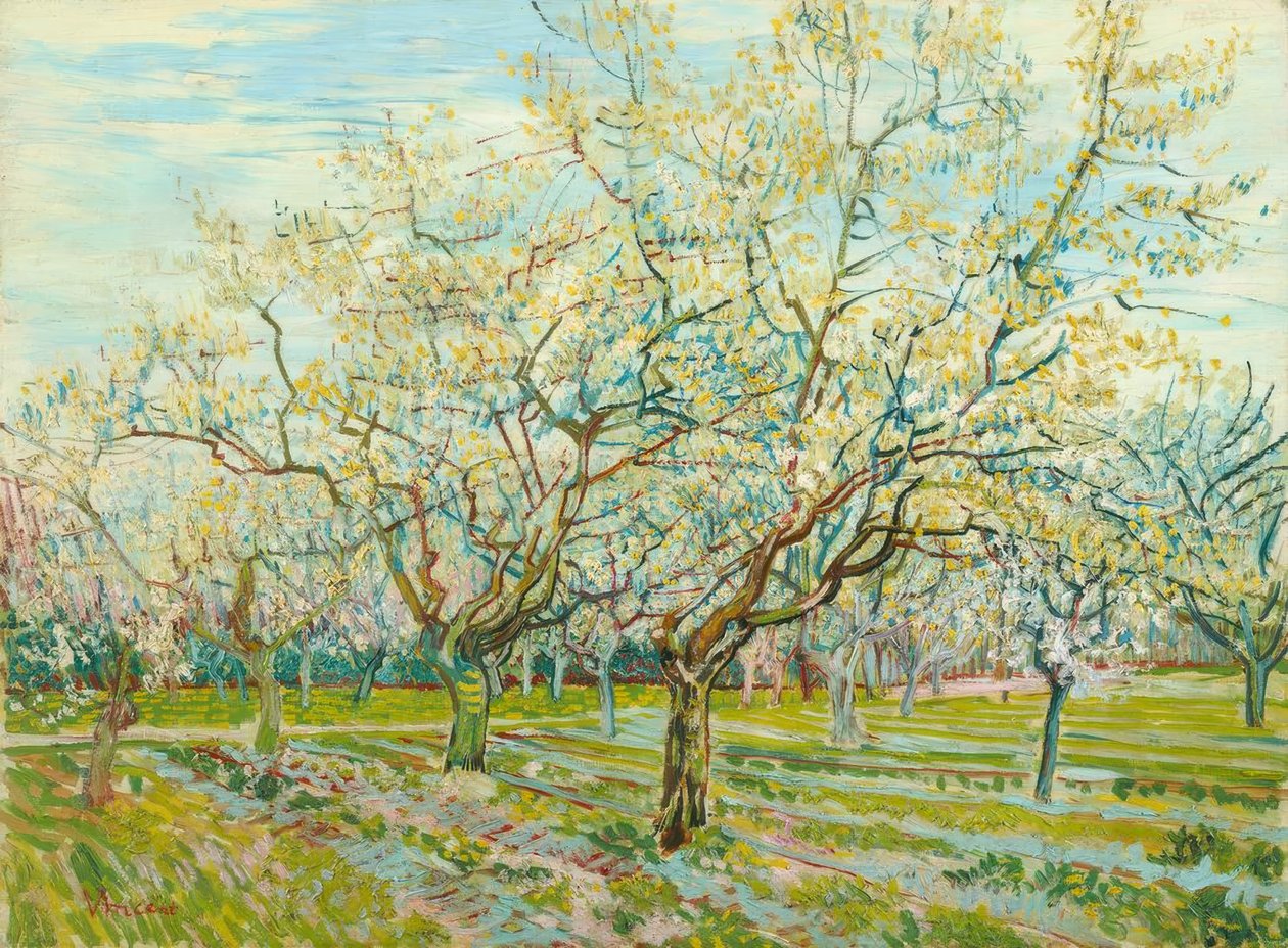 Il frutteto bianco da Vincent van Gogh