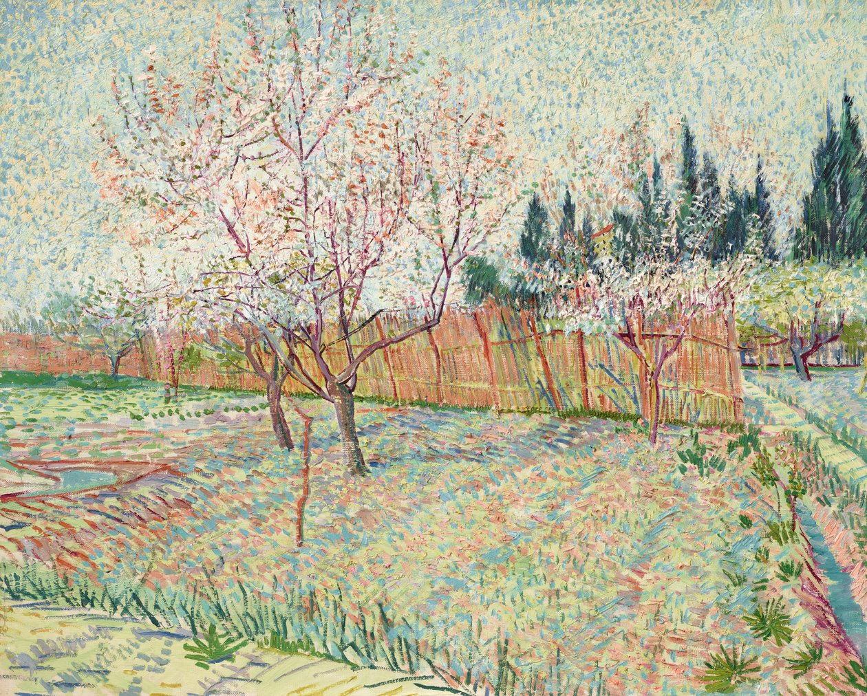 Frutteto con cipressi da Vincent van Gogh