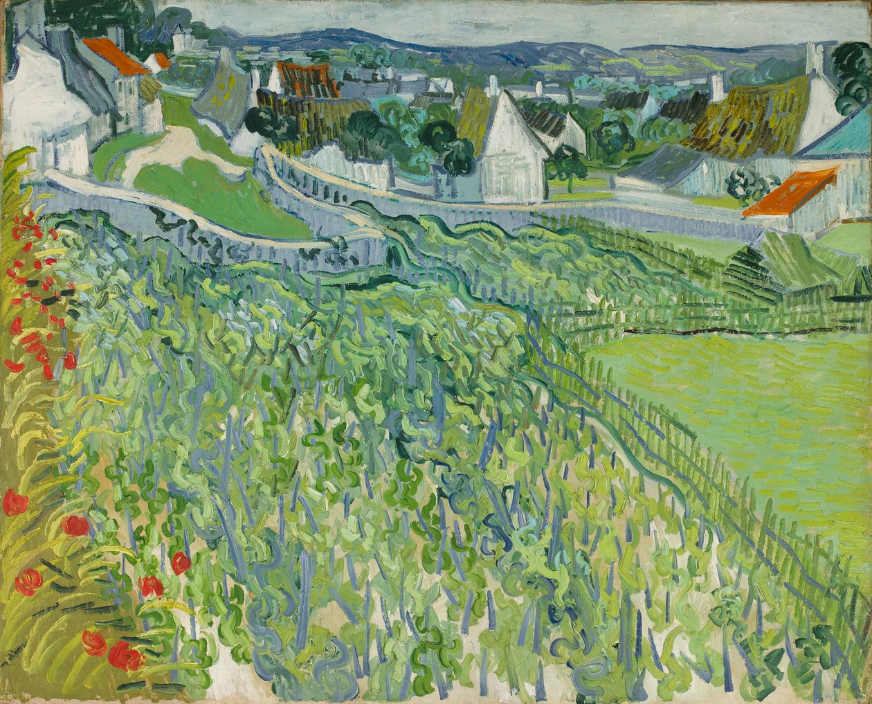 Vigneti ad Auvers da Vincent van Gogh