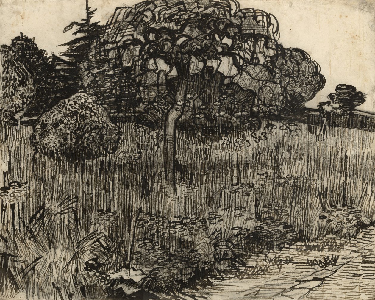 Albero piangente da Vincent van Gogh