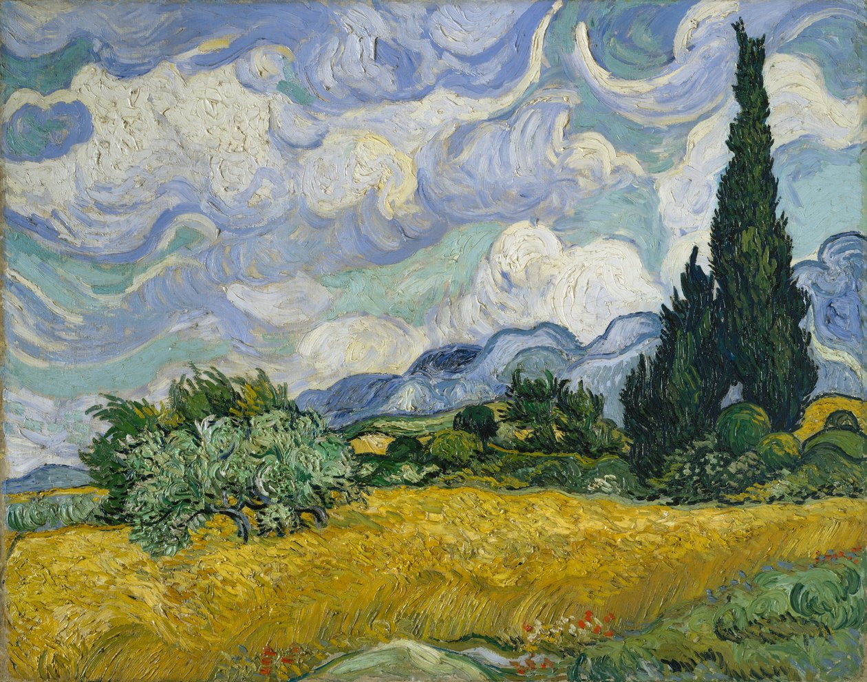 Campo di grano con cipressi da Vincent van Gogh