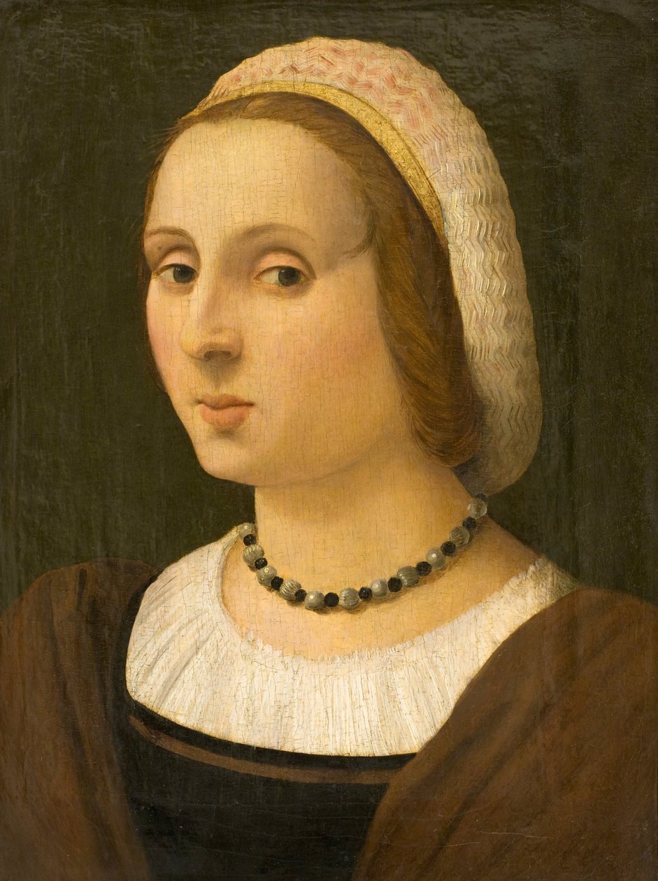 Ritratto di una signora da Vincenzo Tamagni