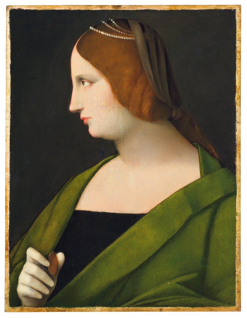 Ritratto di una Signora da Vincenzo di Biagio Catena