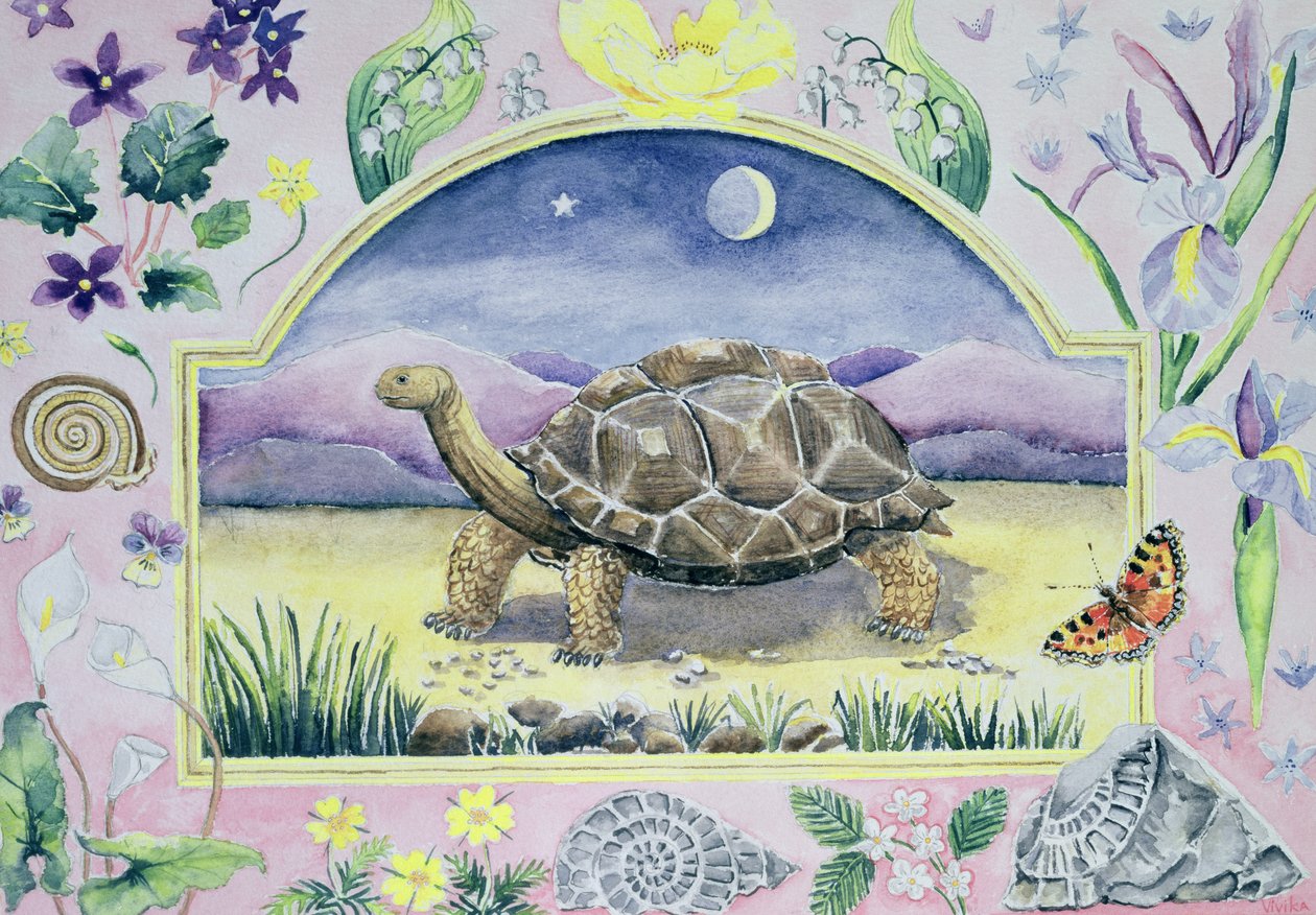 Tartaruga gigante (mese di maggio da un calendario) da Vivika Alexander