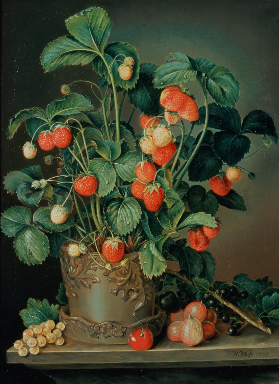 Natura morta con fragole da W. Weiss