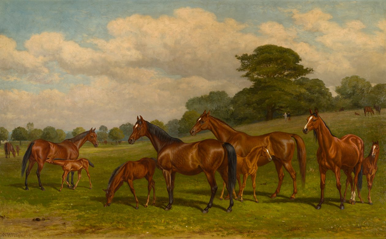 Cavalle e puledri, c.1892 da W.H. Hopkins