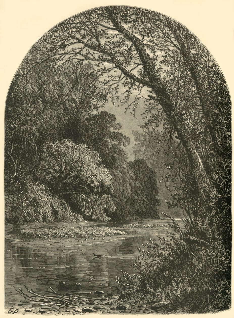 Isole di muschio, nel Juniata, 1874 da W.H. Morse