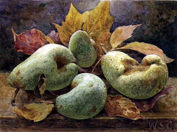 Dispari e pari (pere) da W.S. Goodwin