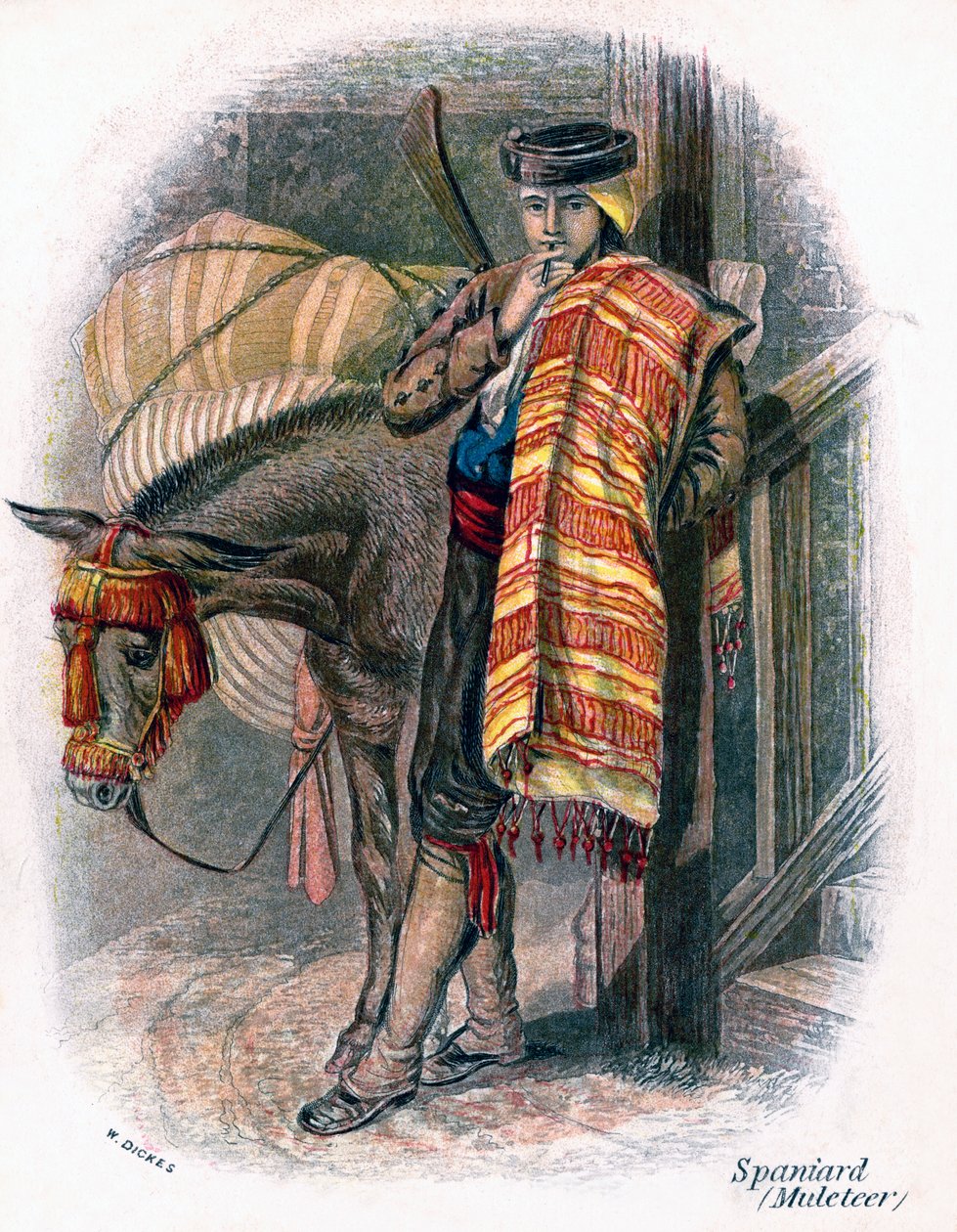 Mulettiere spagnolo, 1809 da W. Dickes