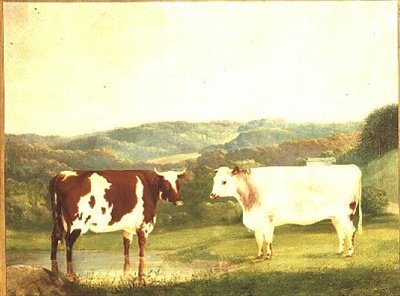 Bovini contro un paesaggio da W. J. Chapman