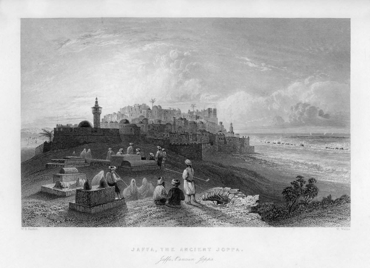 Jaffa, l