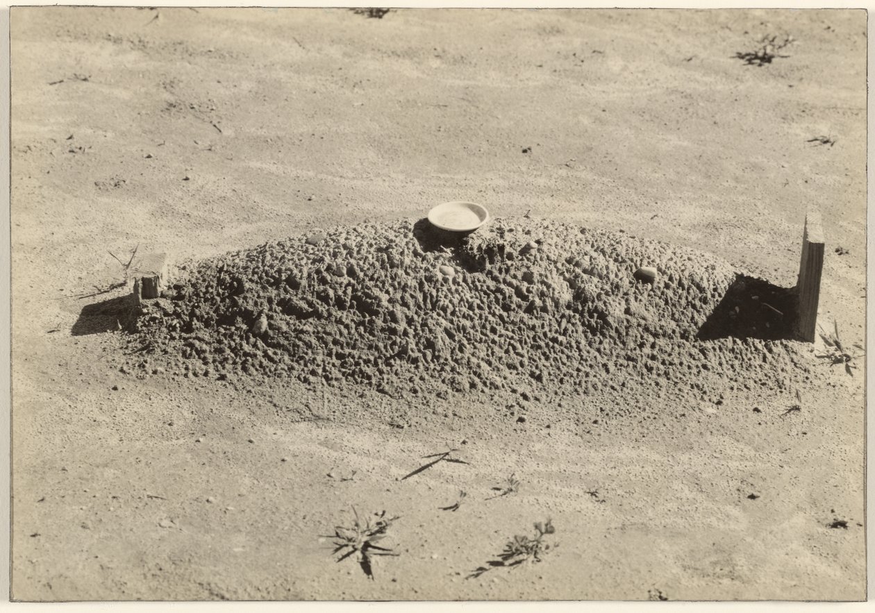 Una tomba battista, Contea di Hale, Alabama da Walker Evans