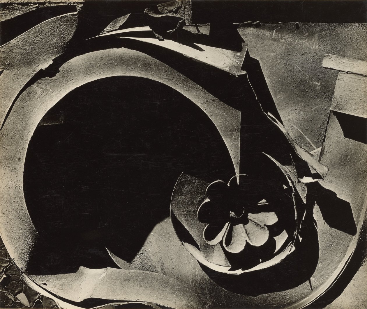 Reliquia di latta da Walker Evans