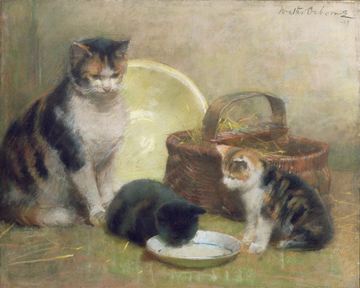 Gatto e gattini, 1889 da Walter Frederick Osborne