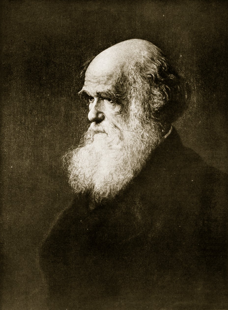 Charles Darwin, stampa dal dipinto di W.W. Ouless, illustrazione da 
