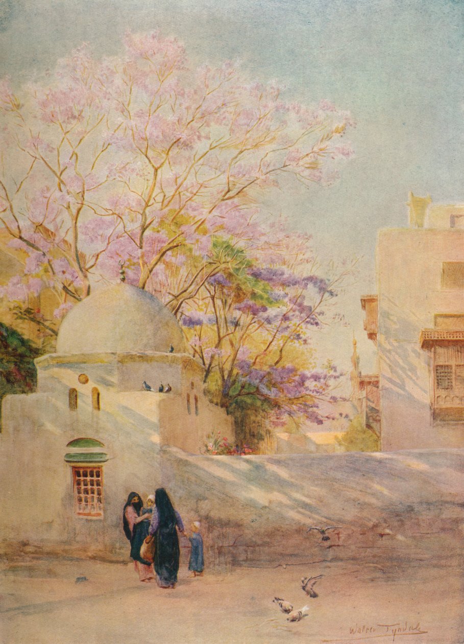 Il Jacaranda da Walter Frederick Roofe Tyndale
