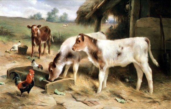 Tre vitelli e pollame da Walter Hunt