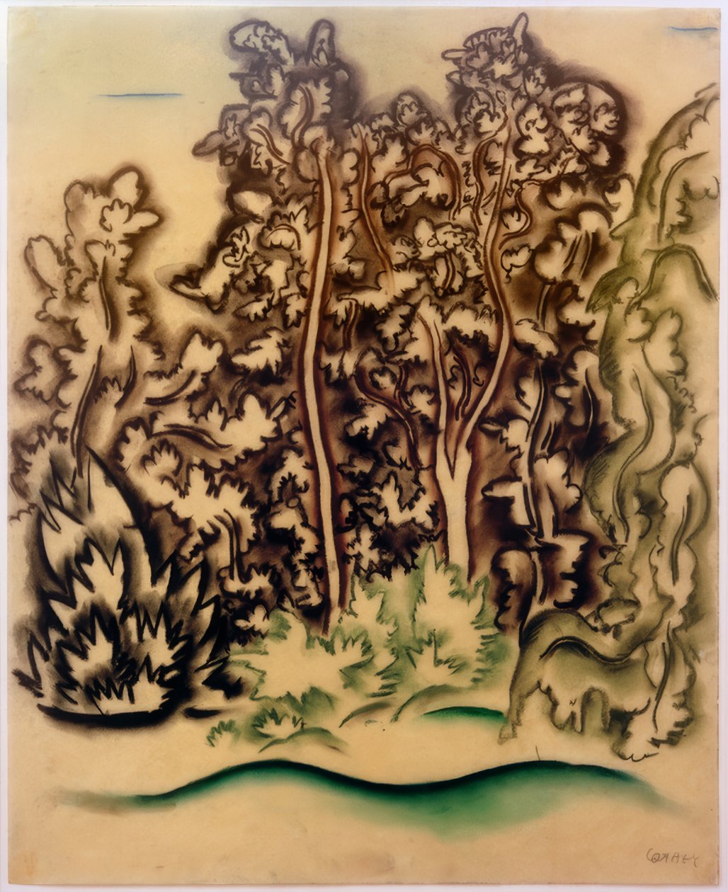 Gruppo di alberi da Walter Ophey