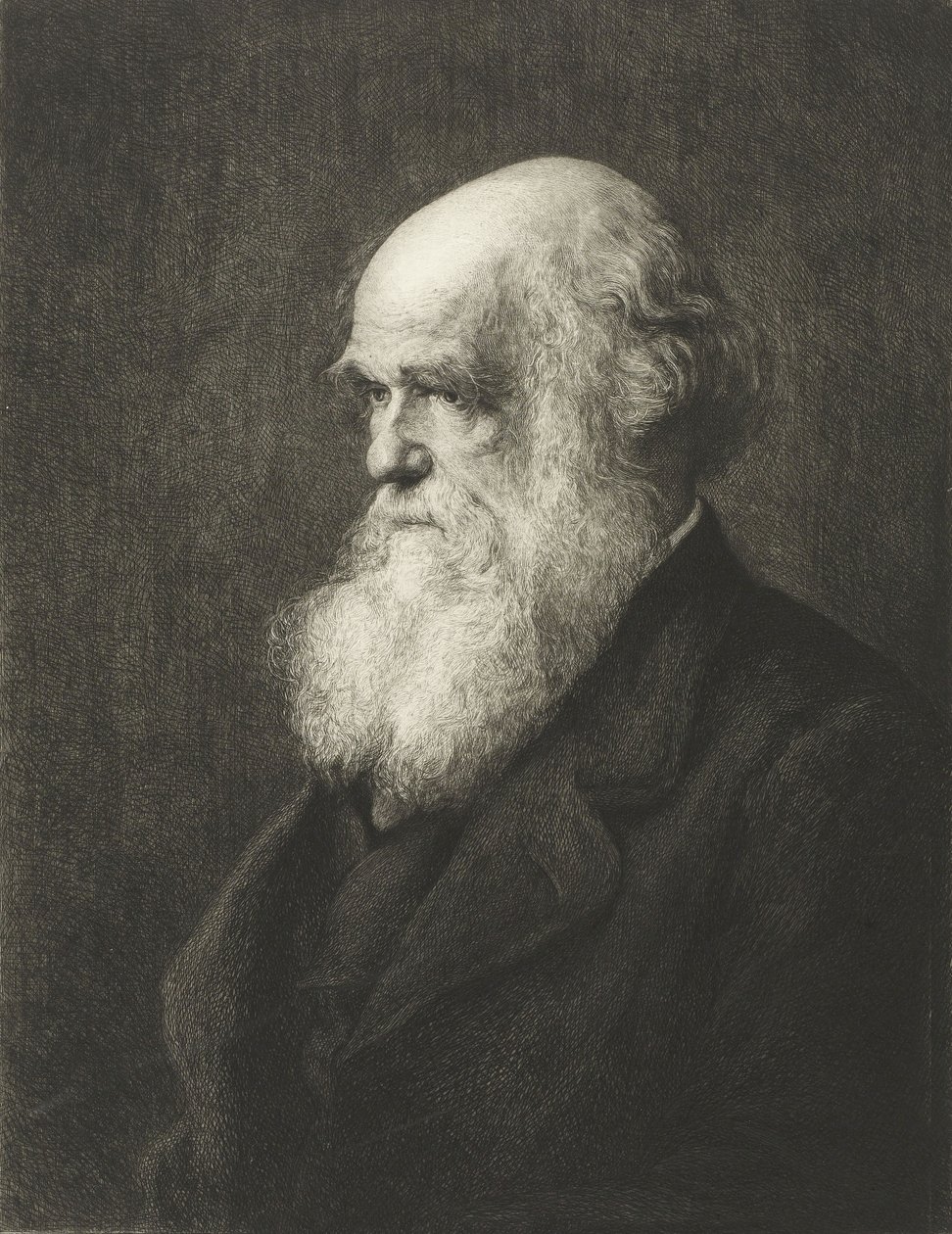Charles Robert Darwin da Walter William (after) Ouless
