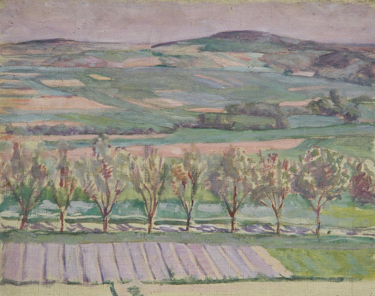 Paesaggio con alberi da Walther Gamerith