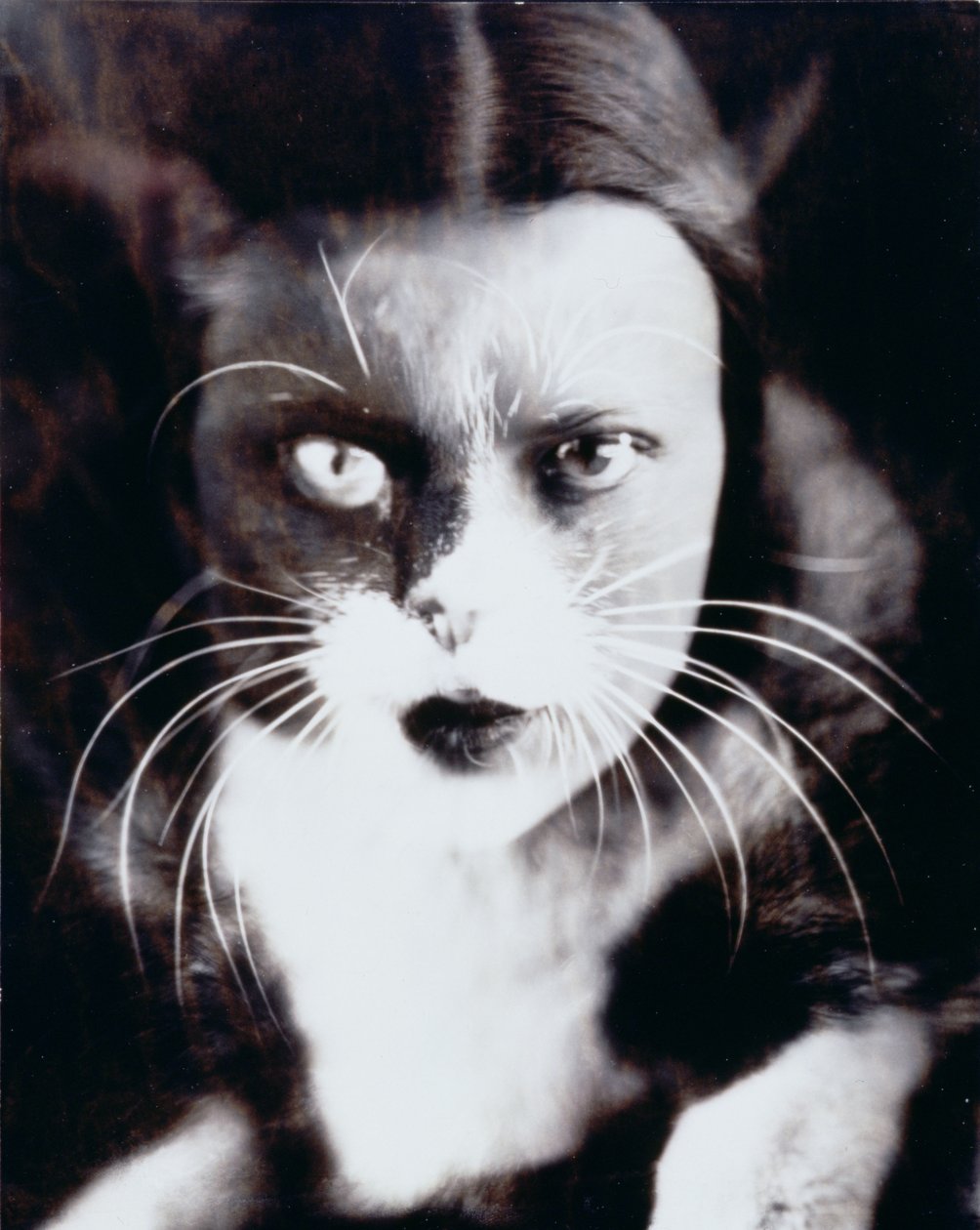 Io e il gatto da Wanda Wulz