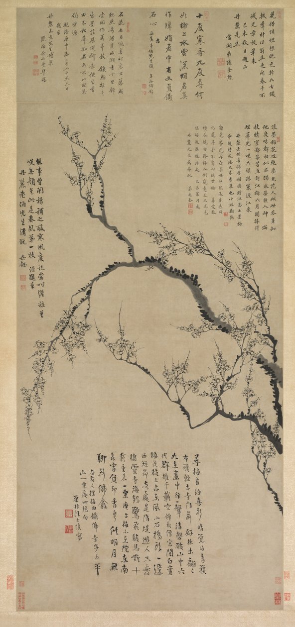 Fiori di pruno da Wang Shishen