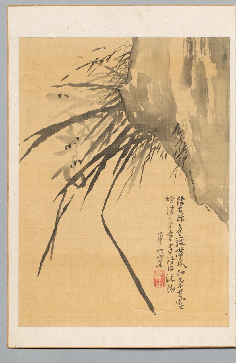 Orchidea, XIX secolo da Watanabe Kazan