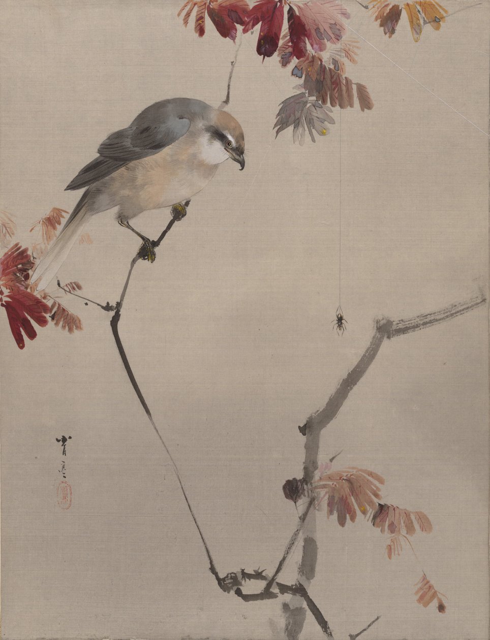 Uccello su un ramo che osserva un ragno, ca. 1887 da Watanabe Seitei