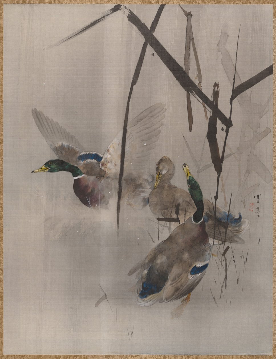 Anatre tra i giunchi, ca. 1887 da Watanabe Seitei