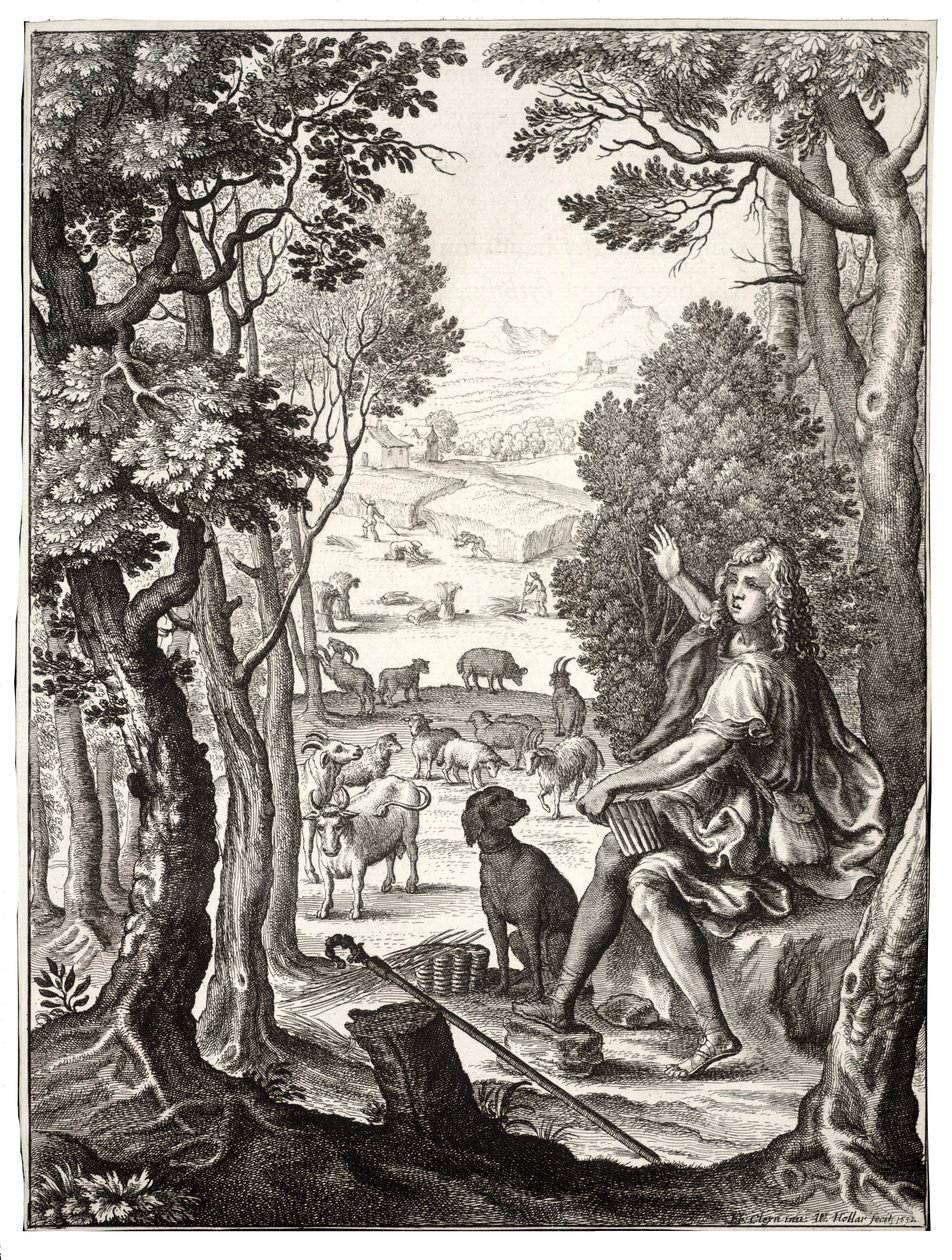 Alessio da Wenceslaus Hollar