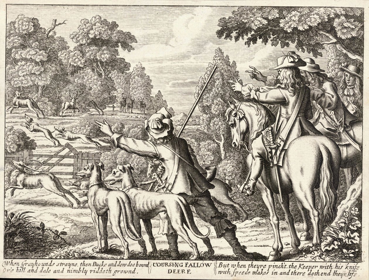 Caccia al cervo da Wenceslaus Hollar