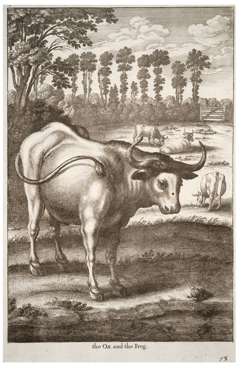 Il bue e la rana da Wenceslaus Hollar