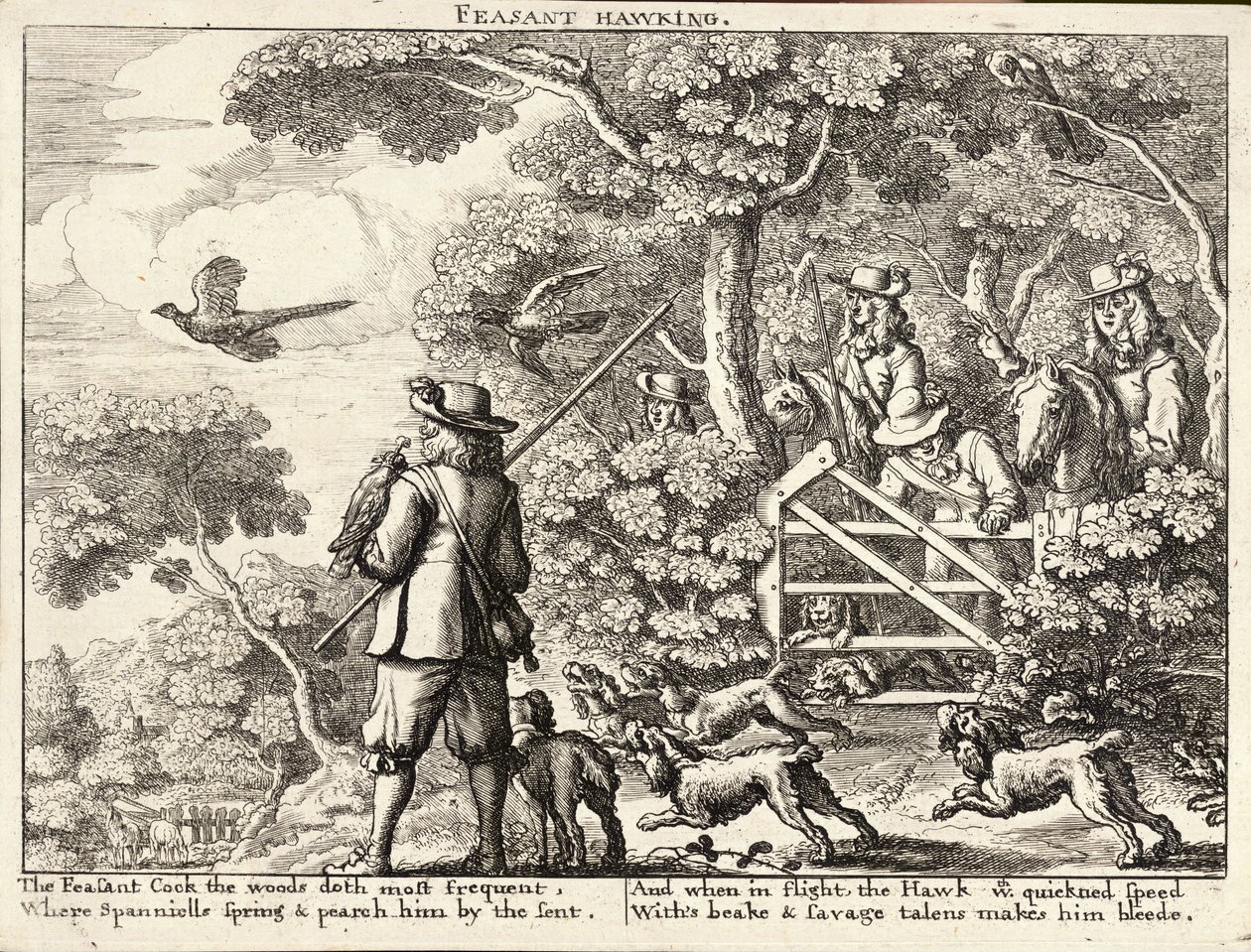 Falconeria di fagiani da Wenceslaus Hollar