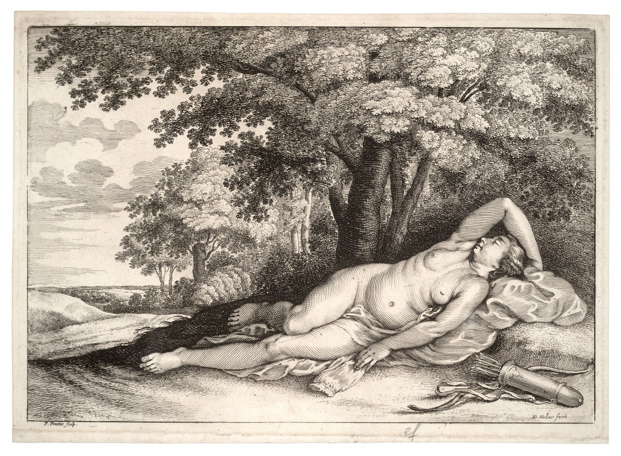 Cacciatrice dormiente. Stato 2 da Wenceslaus Hollar