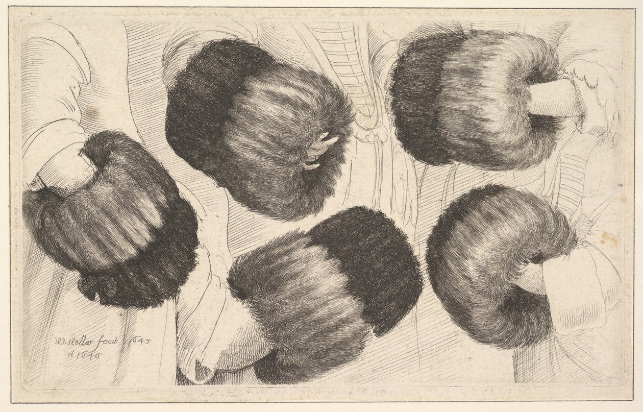 Un manicotto in cinque viste, 1645-46 da Wenceslaus Hollar