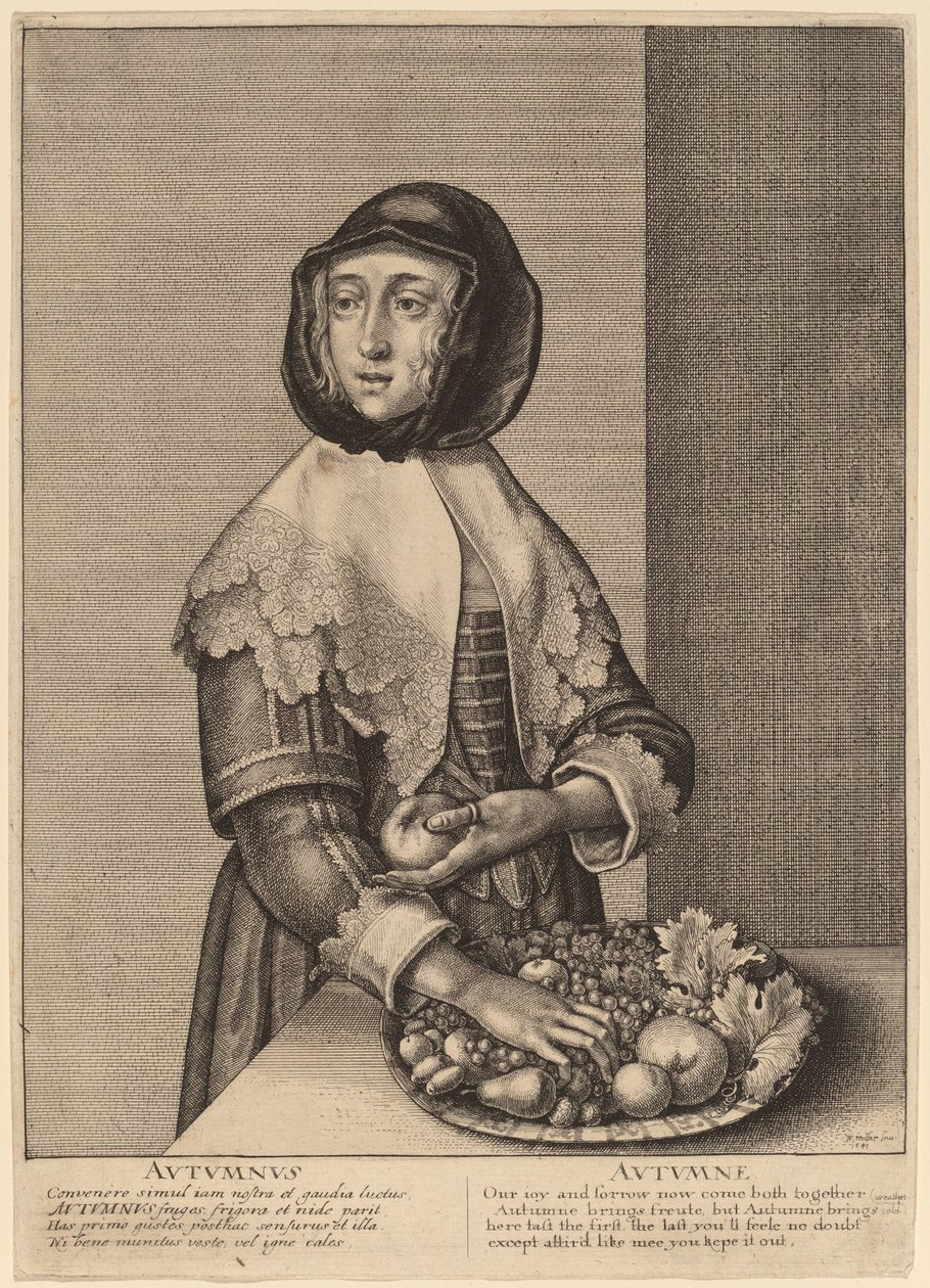 Autunno da Wenceslaus Hollar