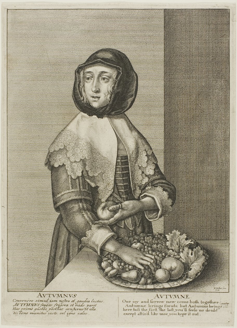 Autunno da Wenceslaus Hollar