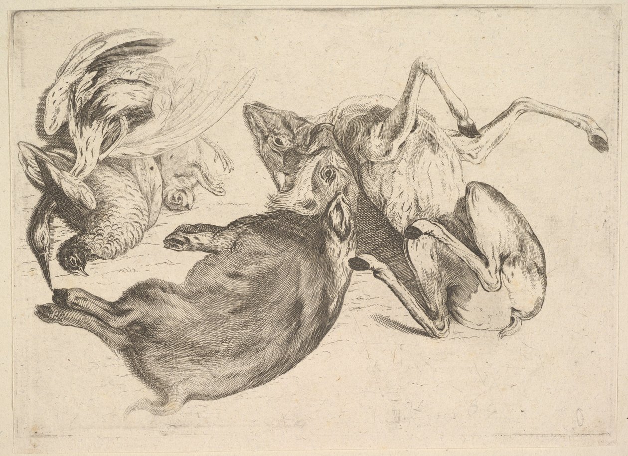 Cinghiale, cervo, airone e altra selvaggina da Wenceslaus Hollar