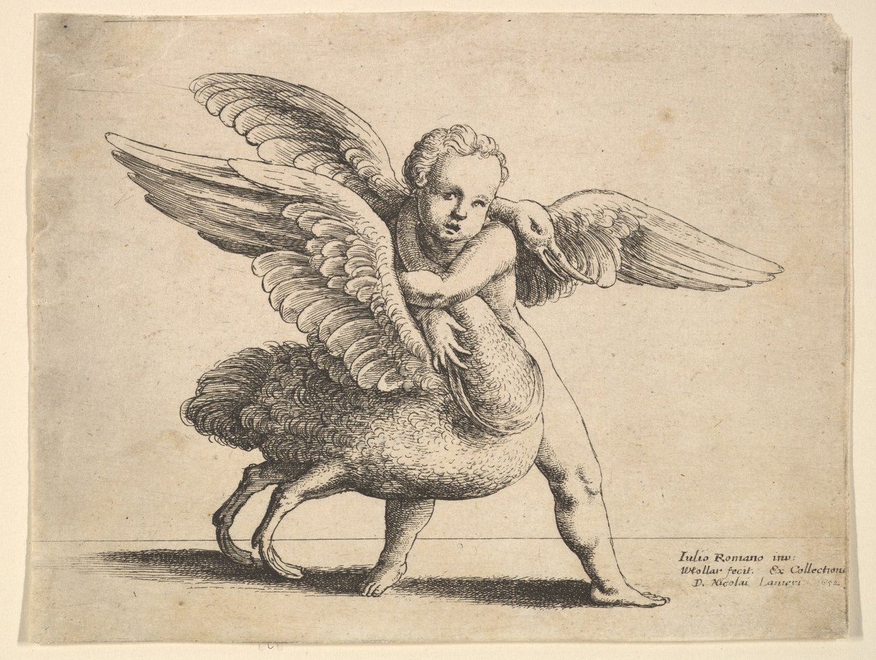 Cupido e il cigno, 1652 da Wenceslaus Hollar